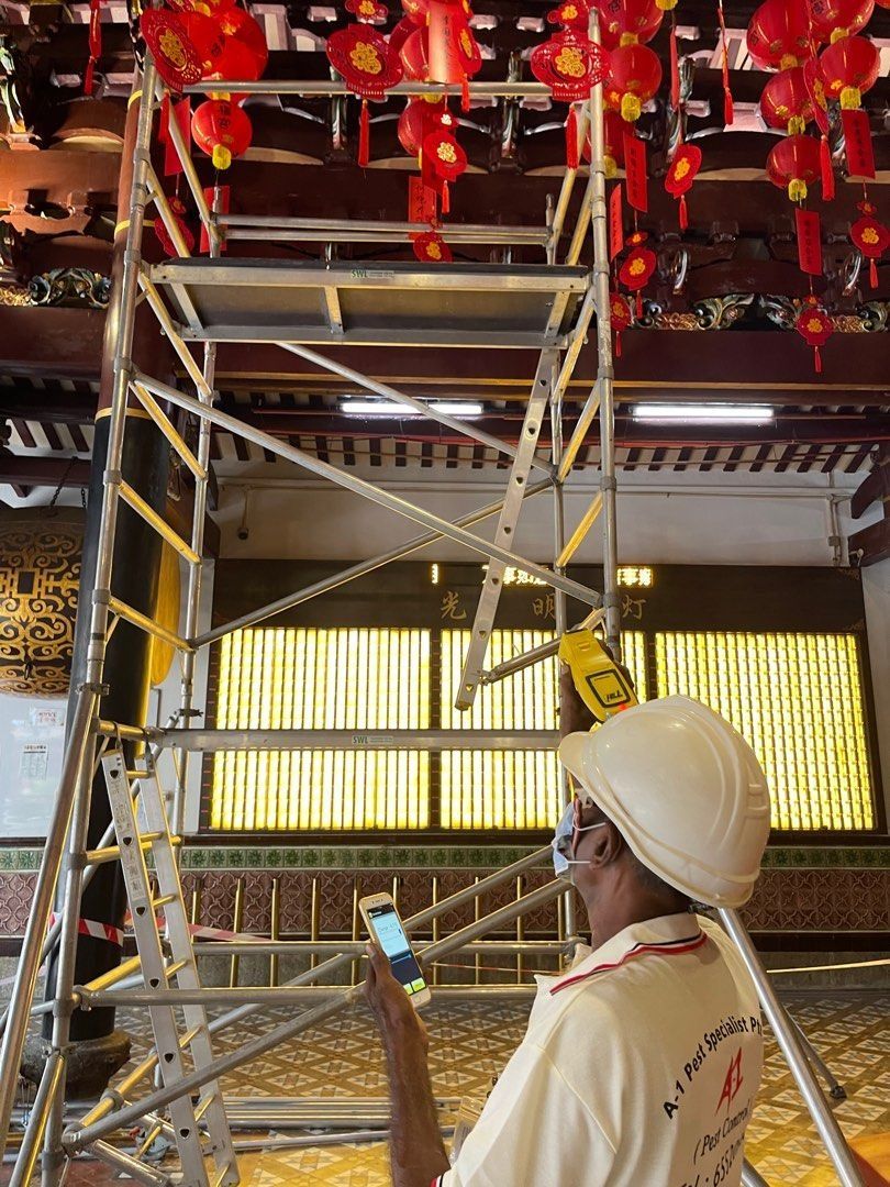 Most Premium and Low Cost Pest Control home services 24 Hours! Termites