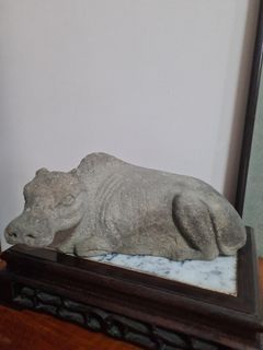 Old Chinese Ox