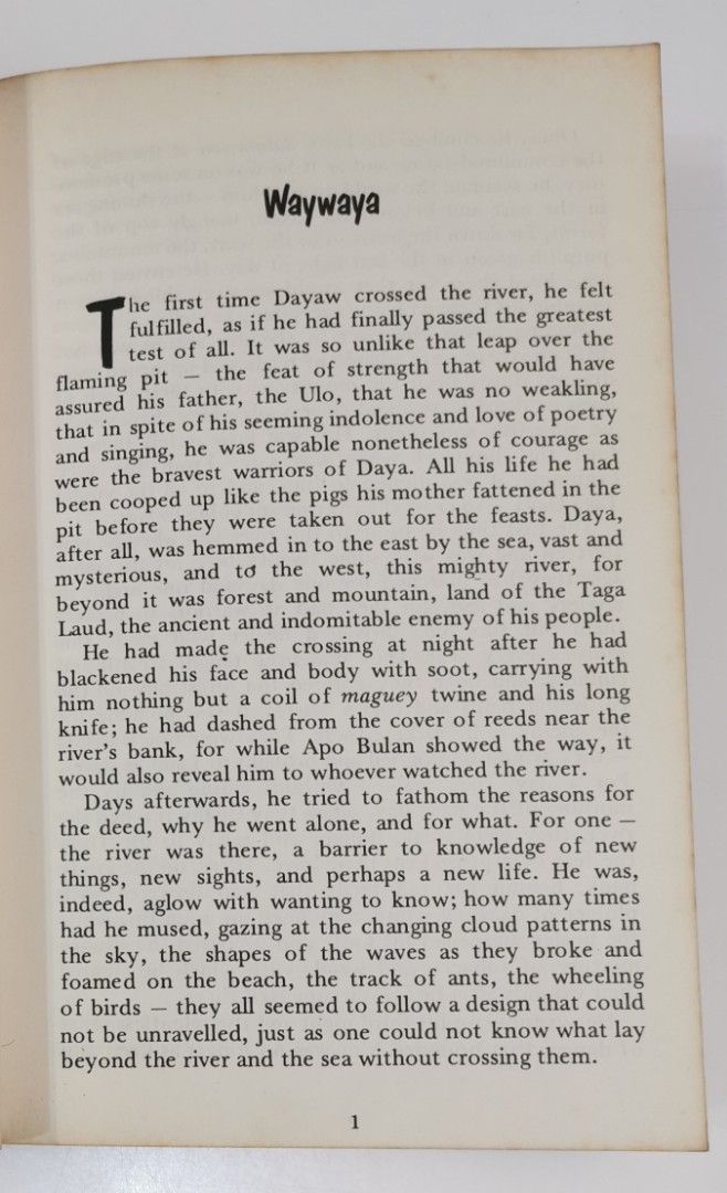 Waywaya and Other Short Stories from the Philippines, Hobbies & Toys