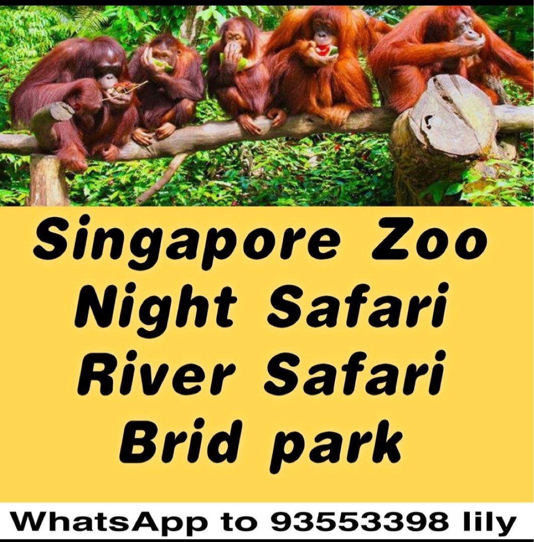 Zoo Singapore Zoo tickets night Safari river Safari river wonders