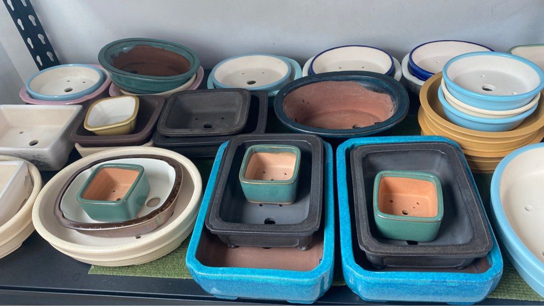 Bonsai Pots, Furniture & Home Living, Gardening, Pots & Planters on