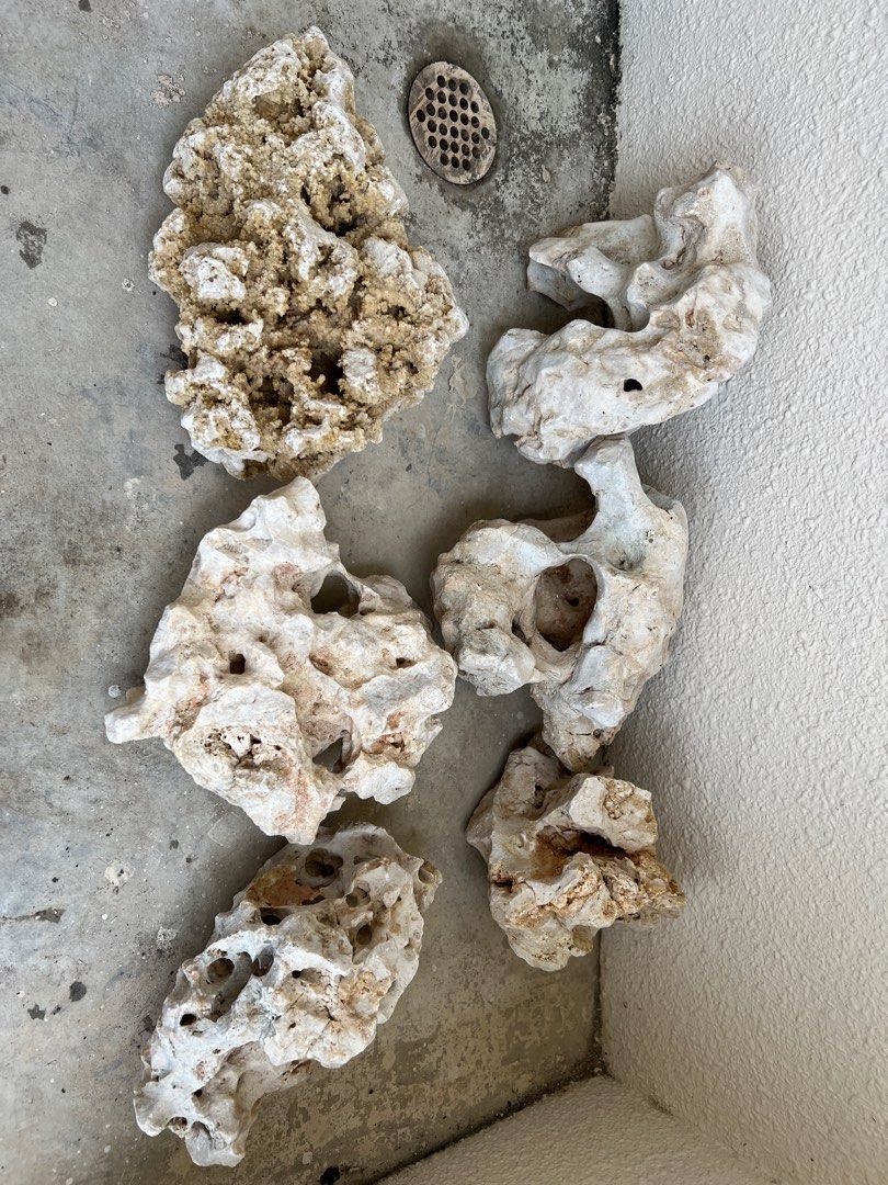 Coral stones for sale