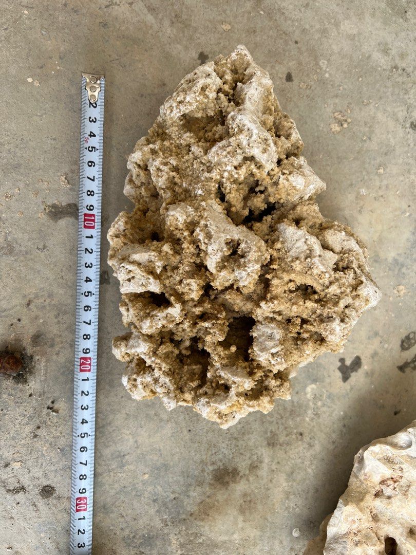 Coral stones for sale discount