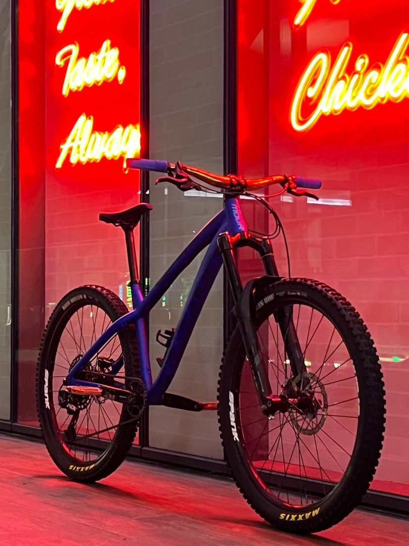 dartmoor hornet 2021 frame