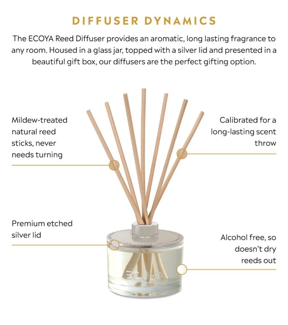 Ecoya spiced ginger and musk shop