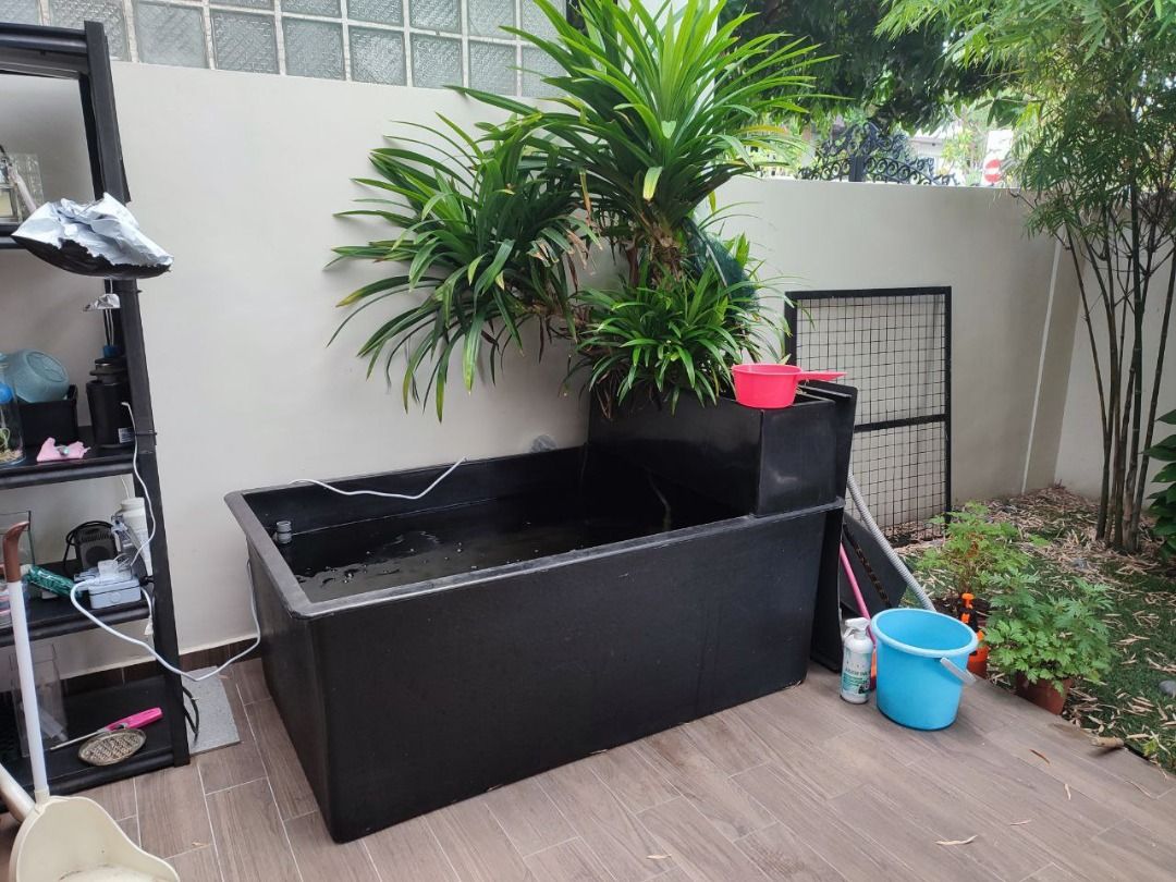 Fibreglass Tank For Koi Autdoor Pond 2m X 1m X 1m Pet Supplies Homes 