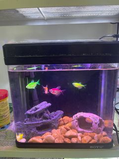 (Category: ) located in . Submitted by ok09123839 (Listing ID 1229409477, Image 1). Description: .