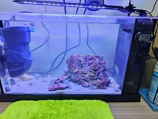 (Category: ) located in . Submitted by vincentgabriel.lim (Listing ID 1229380534, Image 1). Description: .
