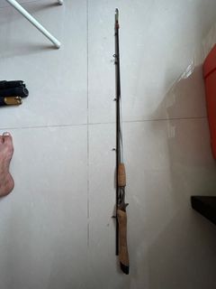 Fishing rod