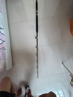 Fishing rod