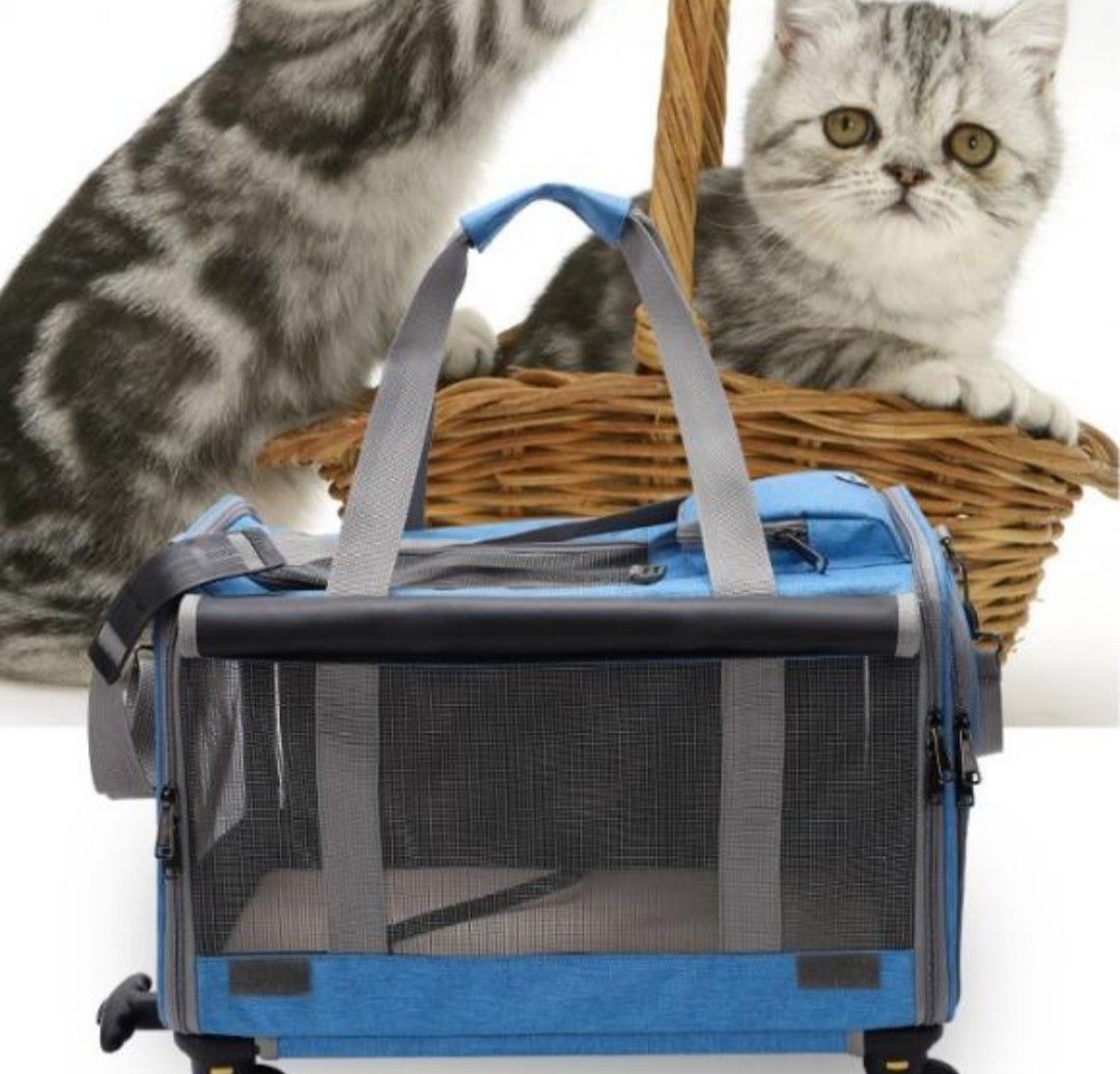 Cat basket top on wheels
