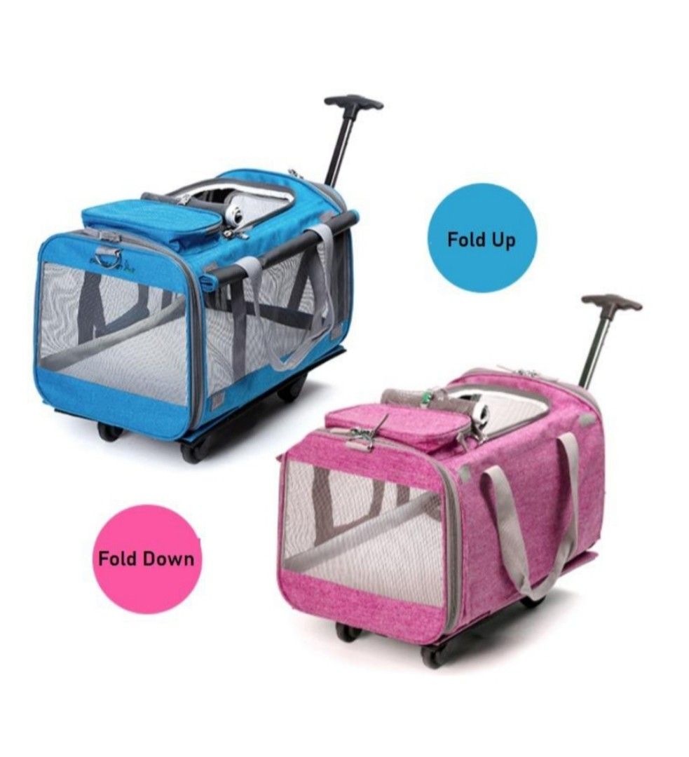 Cat carrier for sale hotsell