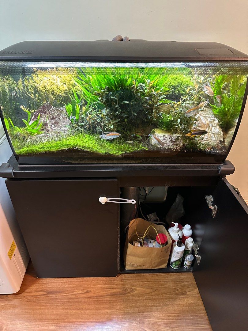 Fluval flex 123l sales