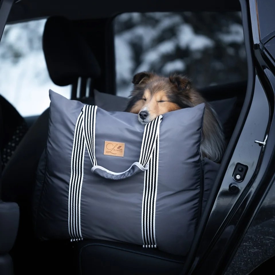 L’elianne Luxury Dog Car Seat & Carrier, Pet Supplies, Homes & Other