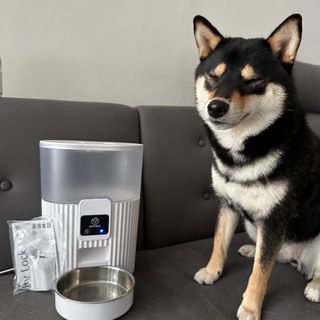 （分類：）位於 。 由 pshachew 提交（商品編號 1229304132，圖片 1）。簡介： 。