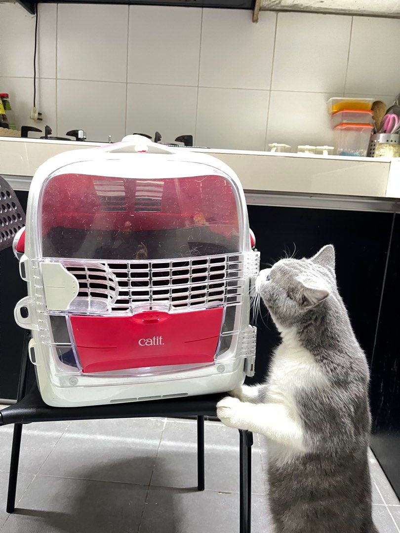 Pet carrier Catit, Pet Supplies, Homes & Other Pet Accessories on