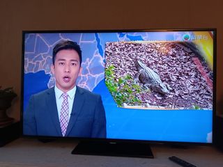 （分類：）位於 。 由 sklitv23 提交（商品編號 1229369537，圖片 1）。簡介： 。