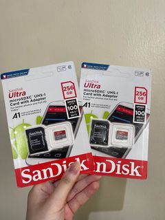 SanDisk 256GB SD Cards