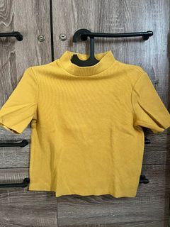 Zara high neck crop top