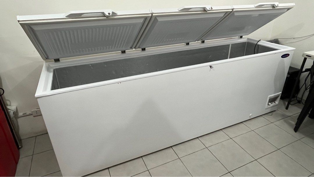 2 Chest Freezers (1 Condura + 1 Fujidenzo), TV & Home Appliances