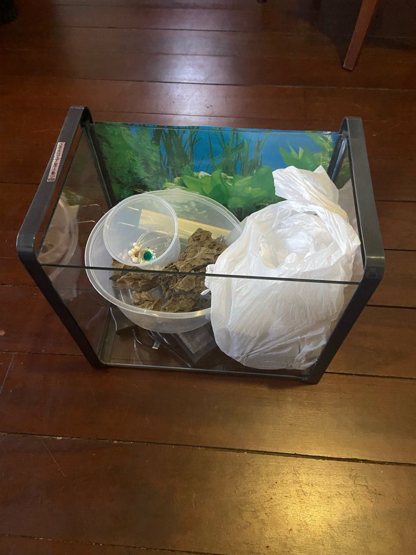 Aquarium Beginner Set with Everything you need (except Water and Fish