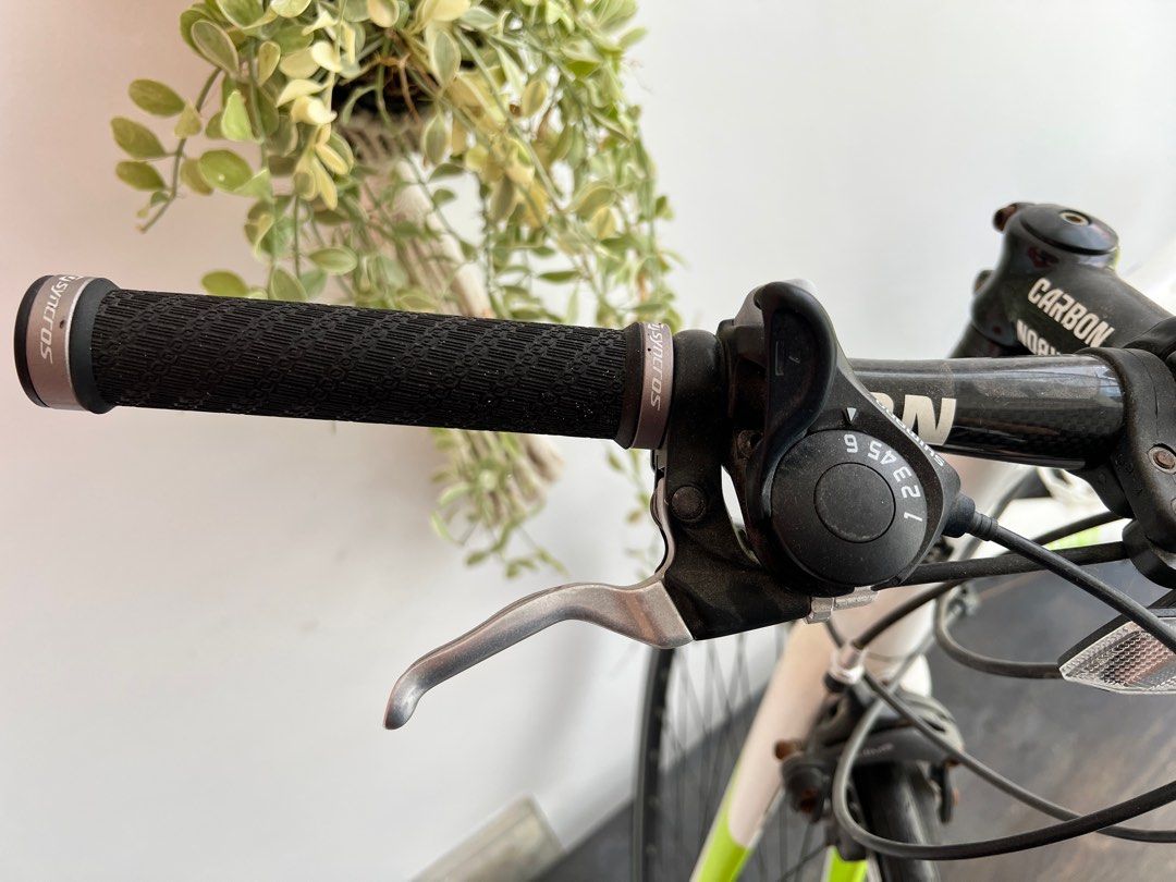 Avenue carbon bike hotsell