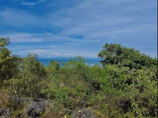 BEACH Lot for Sale - CLIFF located at Songculan, Dauis , Island of Panglao, Bohol🌴