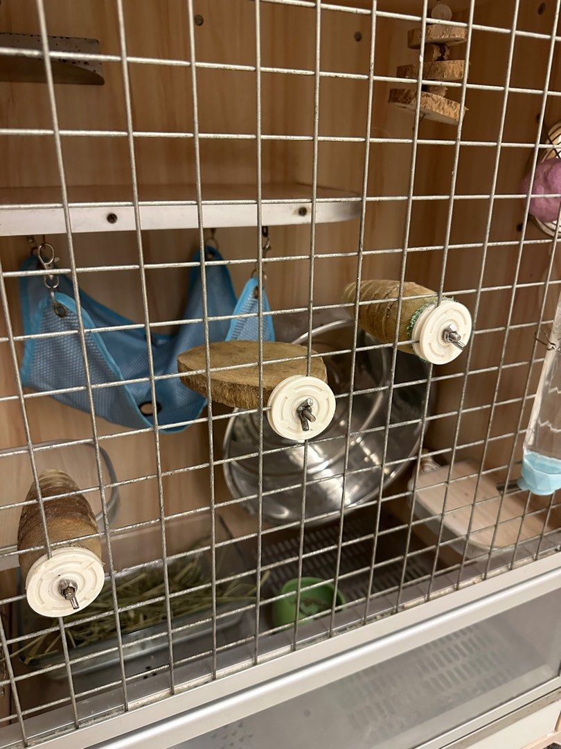 Chinchilla house, Pet Supplies, Homes & Other Pet Accessories on Carousell