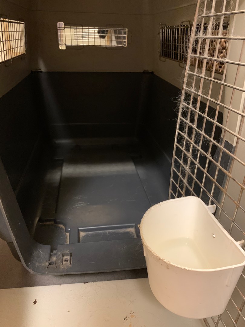 Used Dog crate Feria Carrier IATA, Pet Supplies, Homes & Other Pet