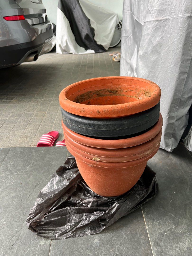 Free pots, Furniture & Home Living, Gardening, Pots & Planters on Carousell