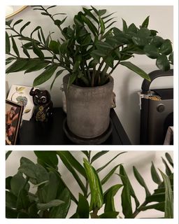 （分類：）位於 。 由 kelmac101 提交（商品編號 1224663402，圖片 1）。簡介： 。