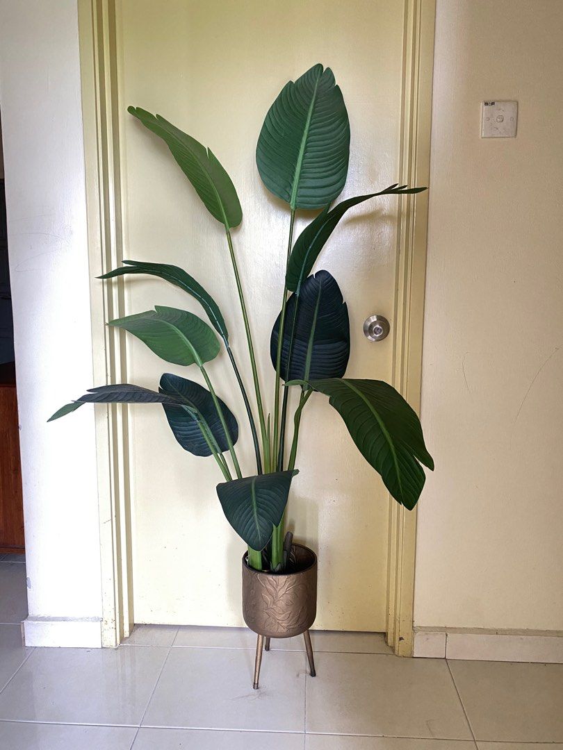 POKOK HIASAN RUMAH, Furniture & Home Living, Home Decor, Artificial