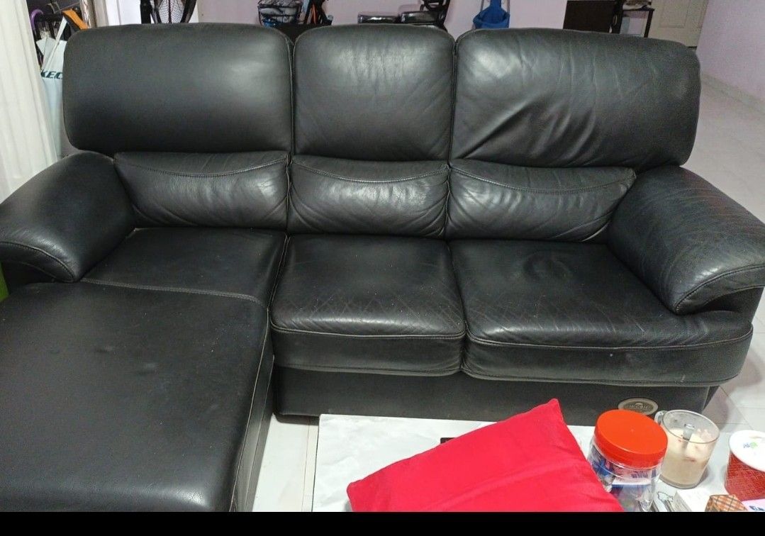 Seahorse sofa, Furniture & Home Living, Furniture, Sofas on Carousell