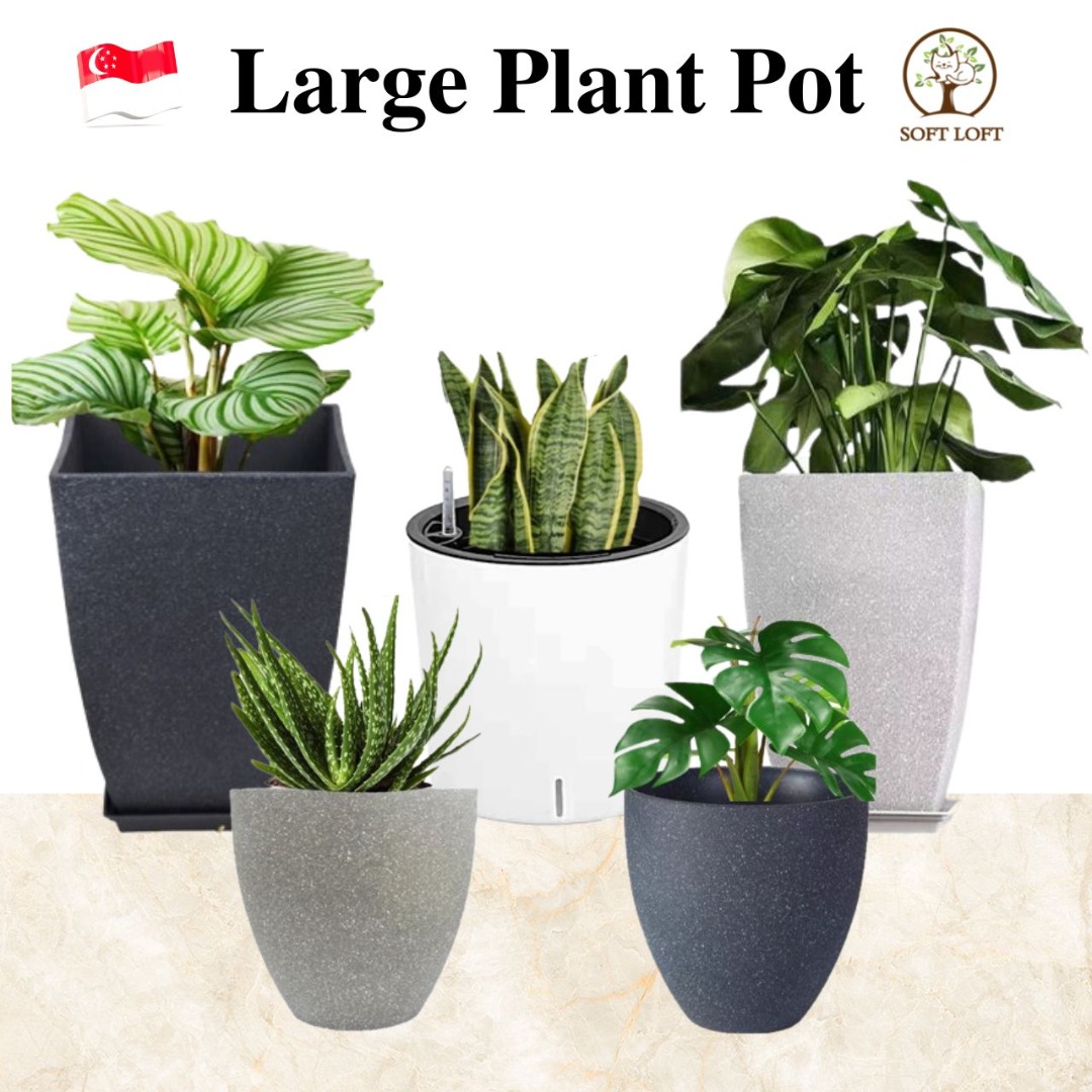 【SG INSTOCK】 Plant Pot Resin Plant Pot Ceramic Vase Ceramic Planter