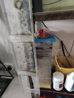 (Category: ) located in . Submitted by obieokuma (Listing ID 1224820075, Image 1). Description: .