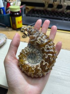 （分類：）位於 。 由 wingyi.li 提交（商品編號 1224774225，圖片 1）。簡介： 。