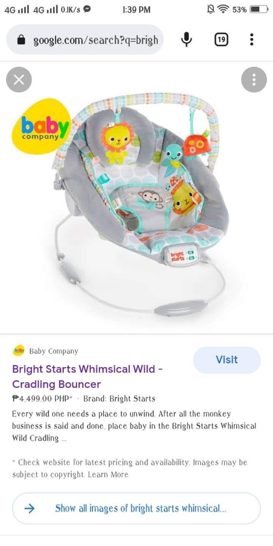 Bright starts bouncer whimsical wild cheap