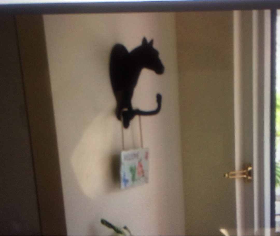 Cast iron bust of horse coat hanger, Furniture & Home Living, Home