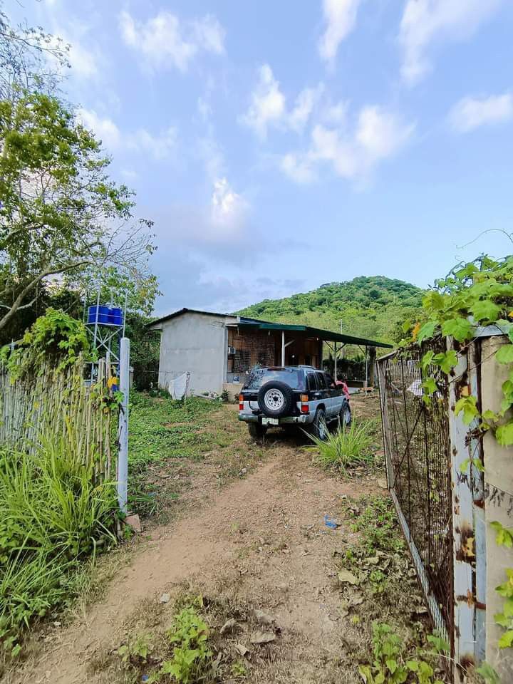 Coron Palawan house and lot, Property, For Sale, House & Lot on Carousell