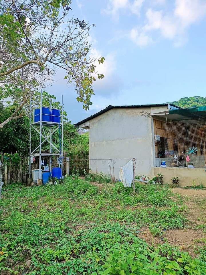 Coron Palawan house and lot, Property, For Sale, House & Lot on Carousell