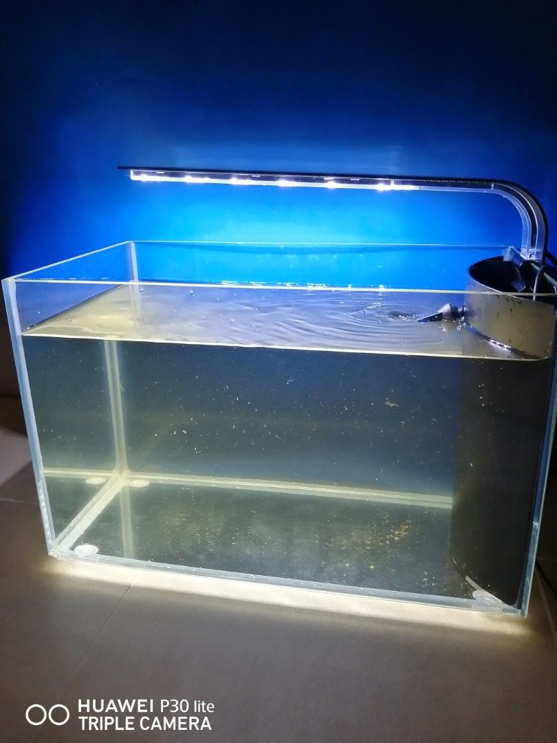 Fish tank build in filter and LED light, Pet Supplies, Homes & Other
