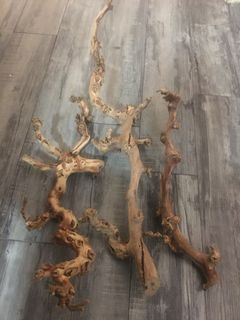 Grapes vine