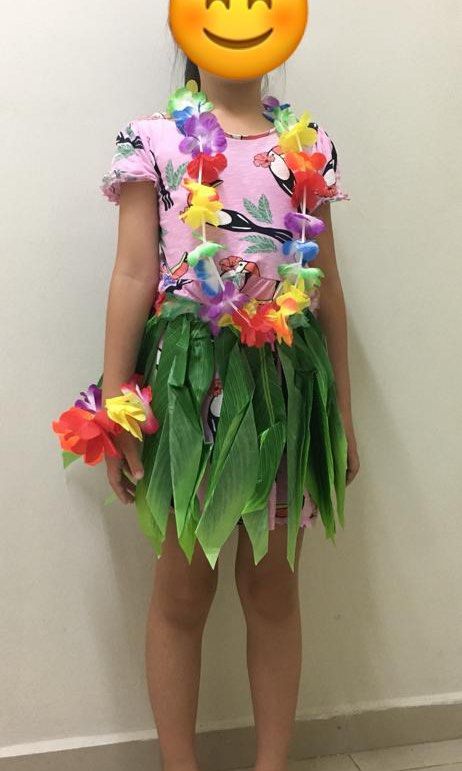 Hawaiian Outfit Kids Hula Grass Skirt, Babies & Kids, Babies & Kids Fashion  on Carousell