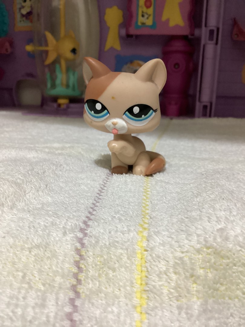 LPS Littlest Pawup kitty Hasbro on Carousell