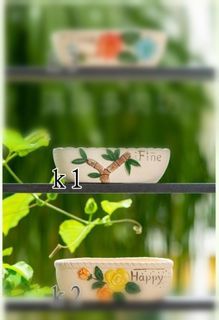 Flower pot ceramic, succulent pot, cactus pot_gift selection