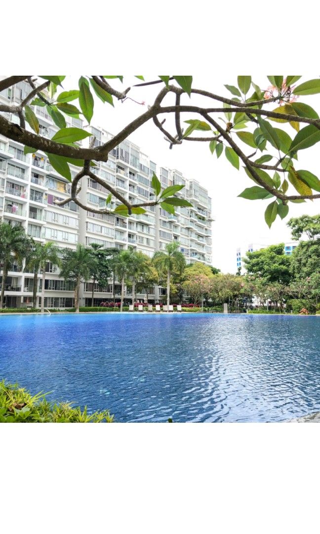 The Centris Common room and master room, Property, Rentals, Room