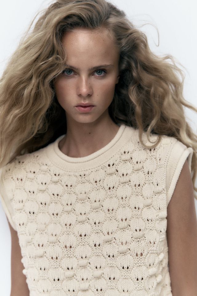 Champion sweater cheap vest zara