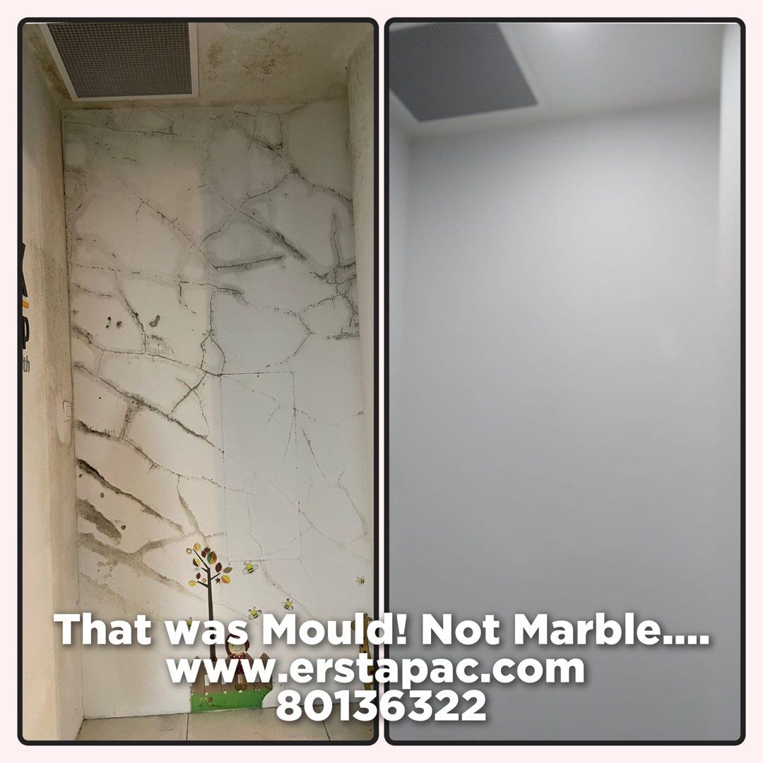Prevent Worried About Mould Returning? ERSTOMOULD Paint Prevents Mould with a Long-Lasting Shield!Mould in Damp & Humid Rooms – ERSTOMOULD Keeps Walls & Ceilings Clean!62853068341762114