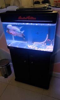 (Category: ) located in . Submitted by afadrizqi (Listing ID 1225052971, Image 1). Description: .