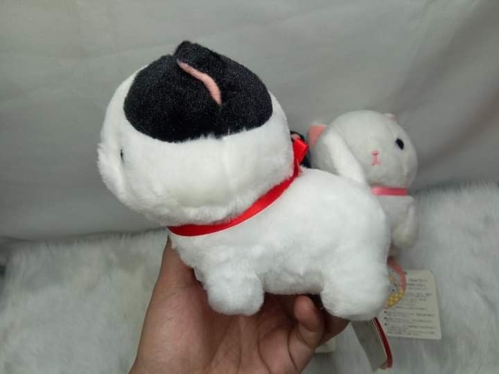 Amuse Chinmari Munchkin Cat plush (Category: Plushies & Soft Toys) located in Navotas City. Submitted by tindahan.ni.lyn (Listing ID 1224919494, Image 3). Description: Adopt this 3 cutiee munchkins😍.